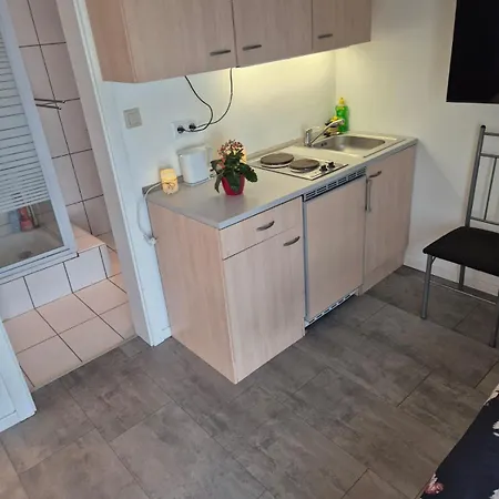 Apartment Narcis Kovacic